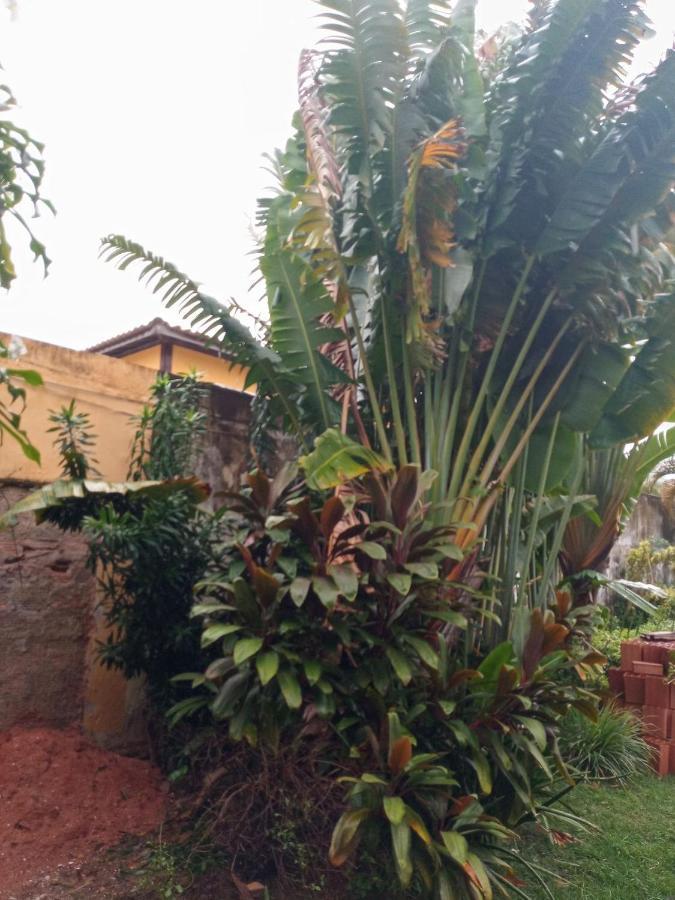 Zen Villas - Chales, Bem-Estar E Conexao Com A Natureza Lauro de Freitas Exterior foto