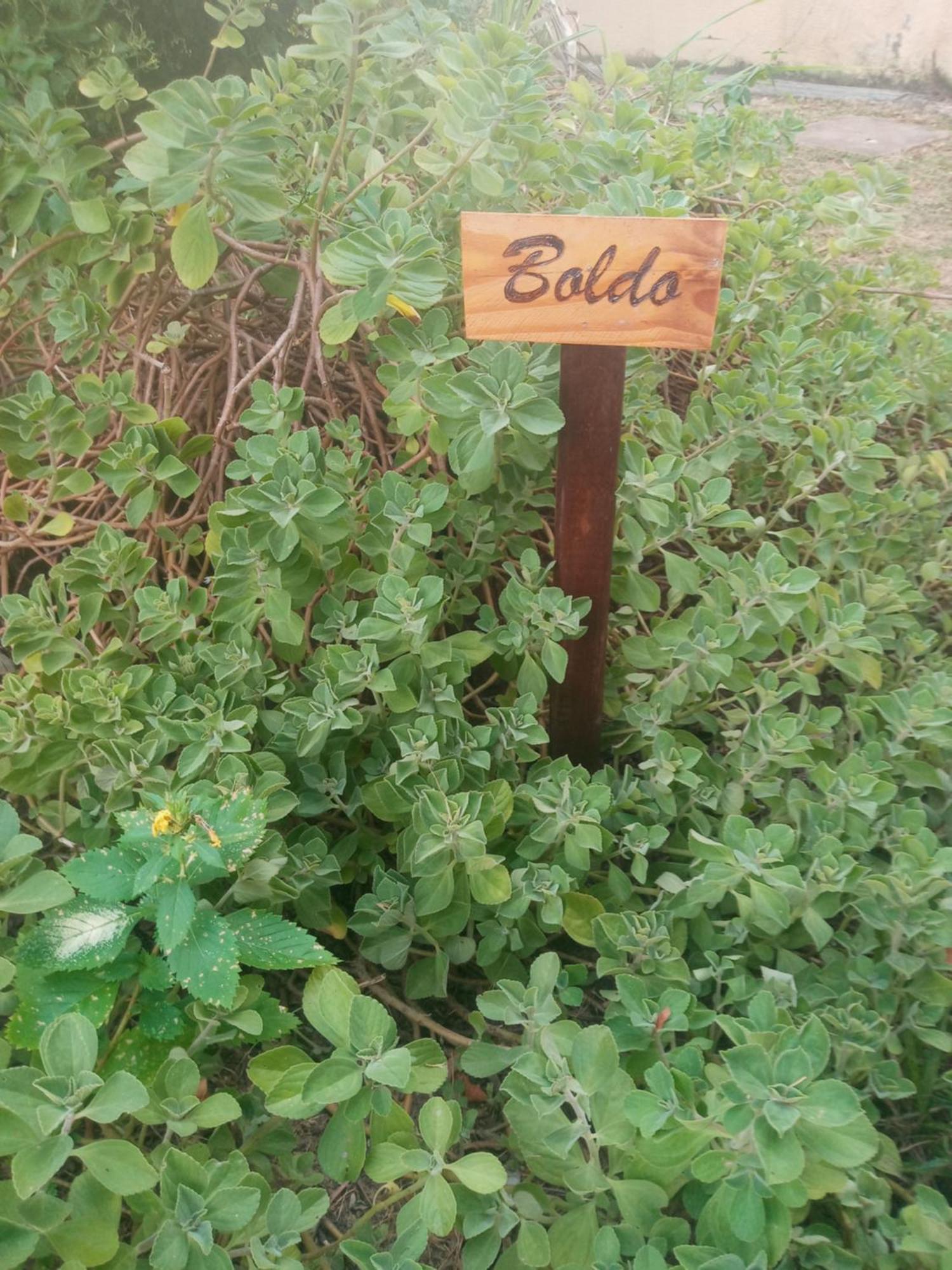 Zen Villas - Chales, Bem-Estar E Conexao Com A Natureza Lauro de Freitas Exterior foto